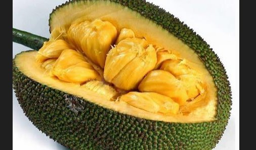 菠萝蜜水滋滋的是什么情况