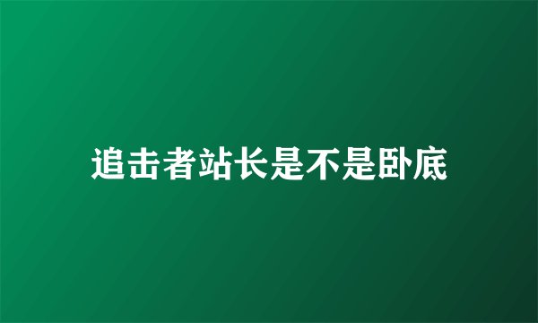 追击者站长是不是卧底