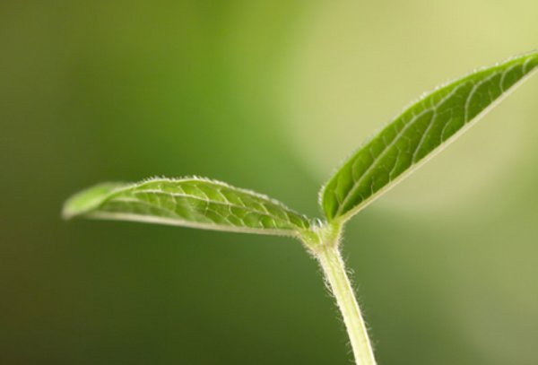 今年有什么年度关键词吗？