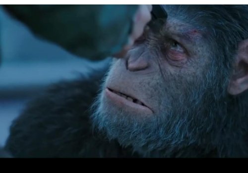 猩球崛起3结局凯撒死了吗