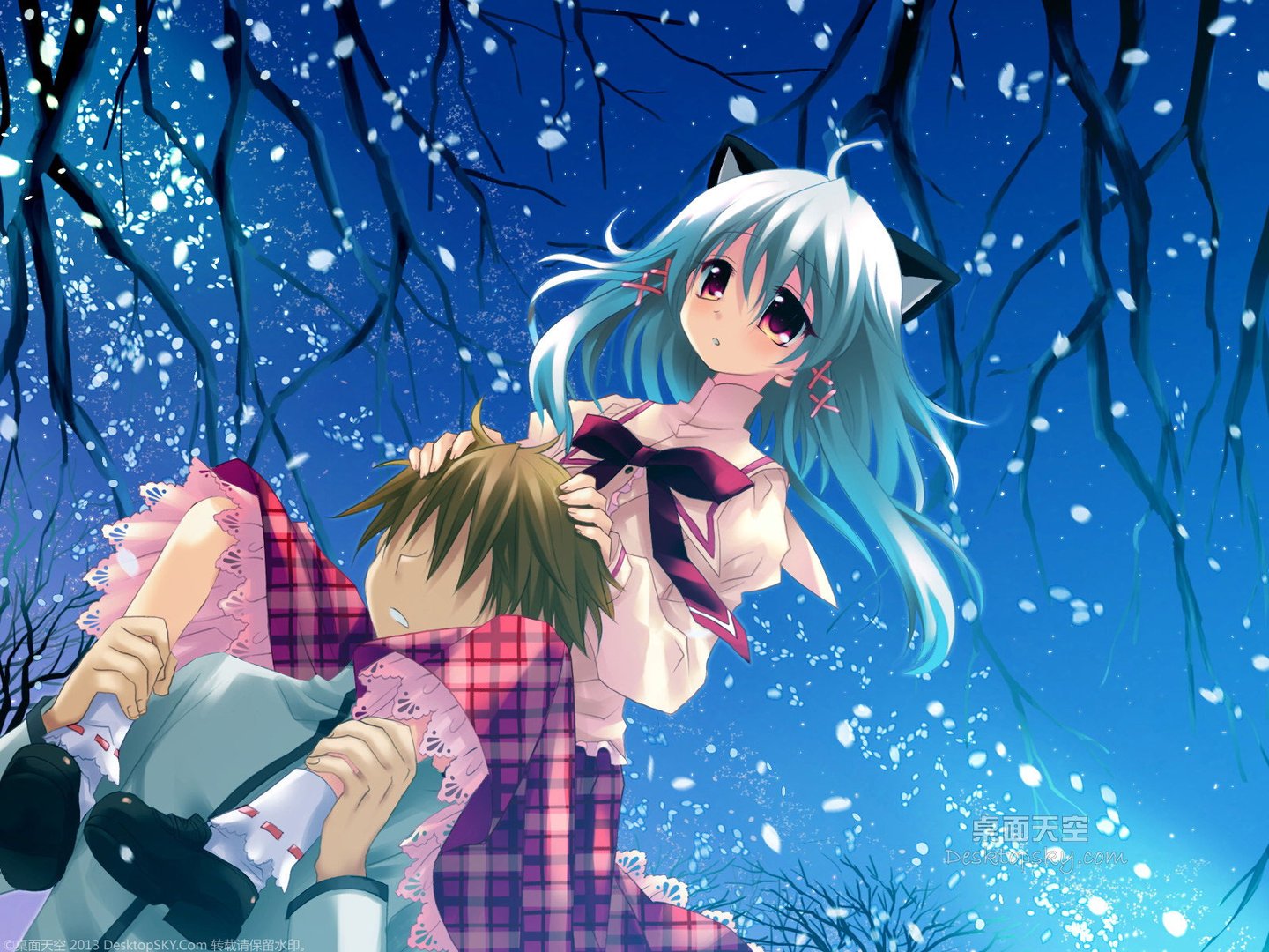 樱吹雪千年之恋的介绍