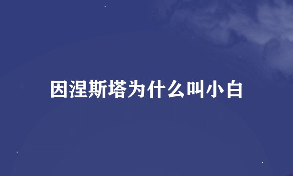 因涅斯塔为什么叫小白