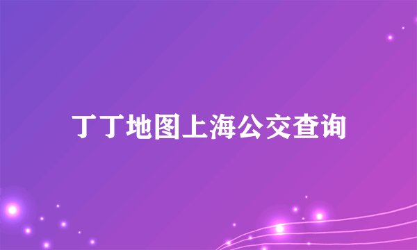 丁丁地图上海公交查询
