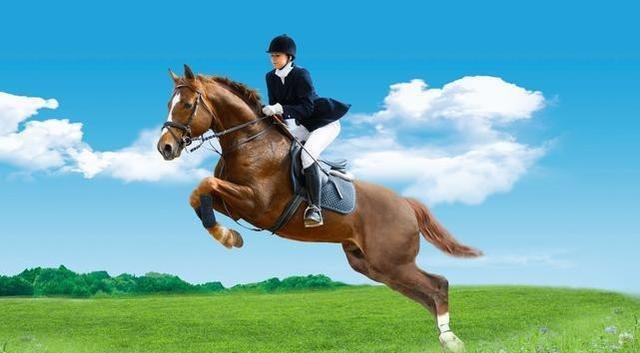 马和人比谁更有耐力