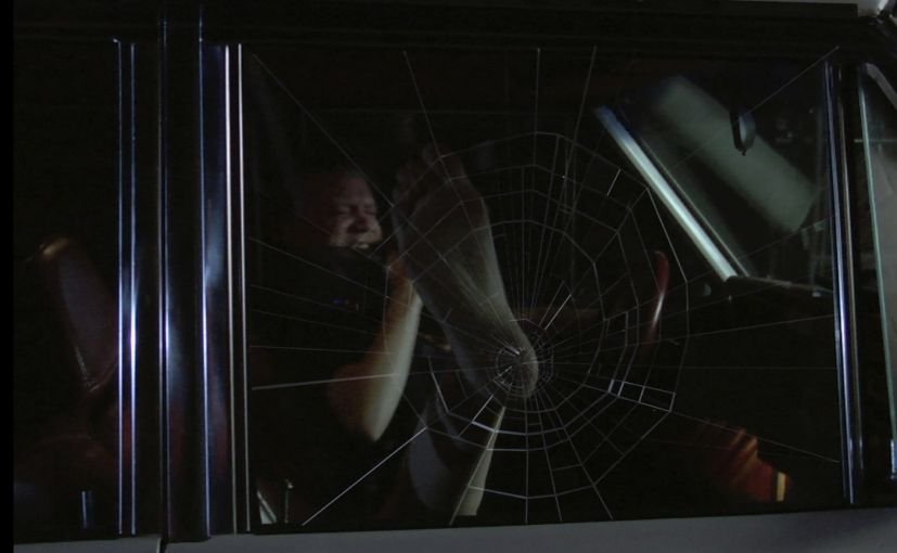 赤裸惊魂的剧情介绍