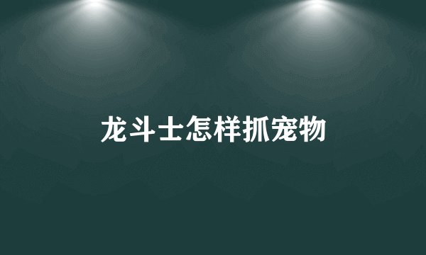 龙斗士怎样抓宠物