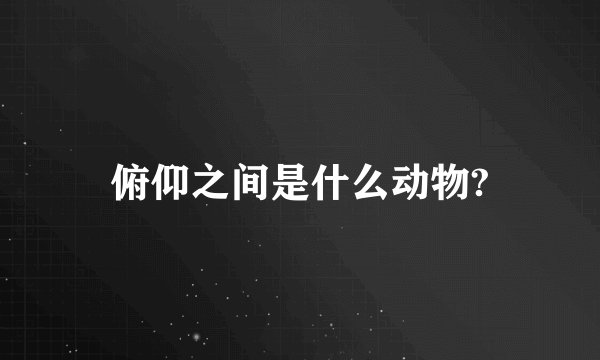 俯仰之间是什么动物?