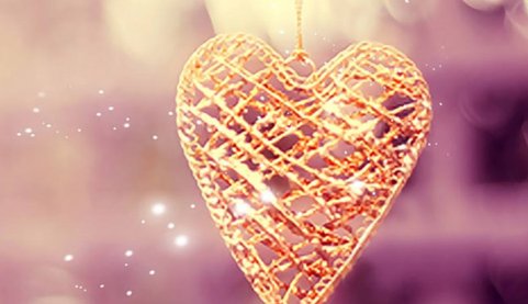 288代表的爱情含义是什么?