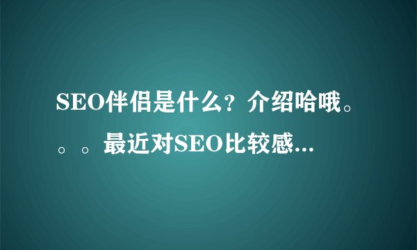 SEO伴侣是什么？介绍哈哦。。。最近对SEO比较感兴趣，有专业人士吗？