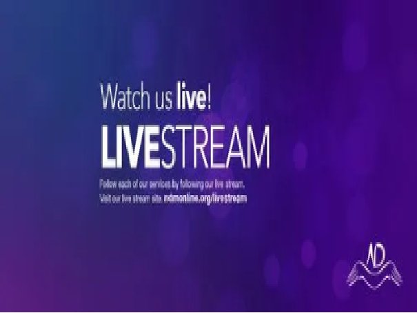 哪里可以看国外电视直播软件？