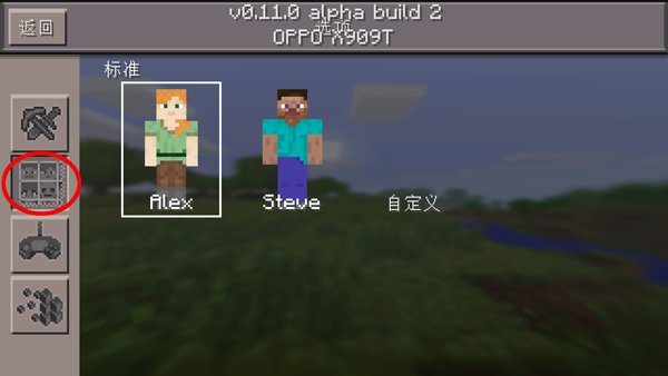 我的世界pe皮肤里有的皮肤怎么用让别人看到？