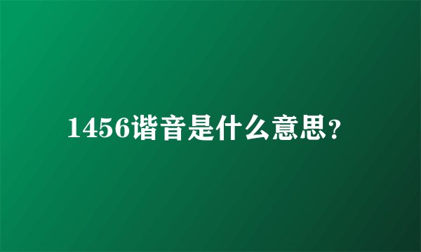 1456谐音是什么意思？