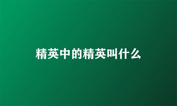 精英中的精英叫什么