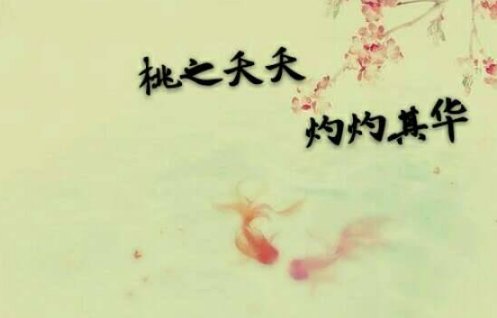 桃之夭夭灼灼其华什么意思