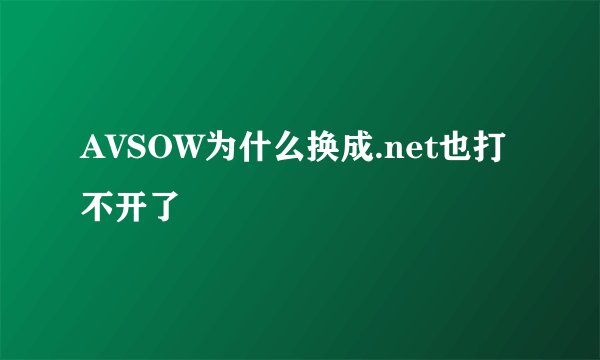 AVSOW为什么换成.net也打不开了