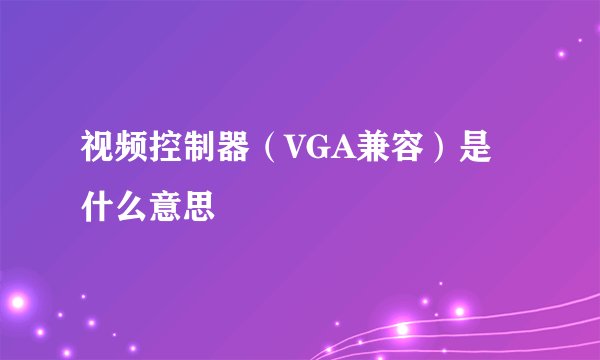 视频控制器（VGA兼容）是什么意思