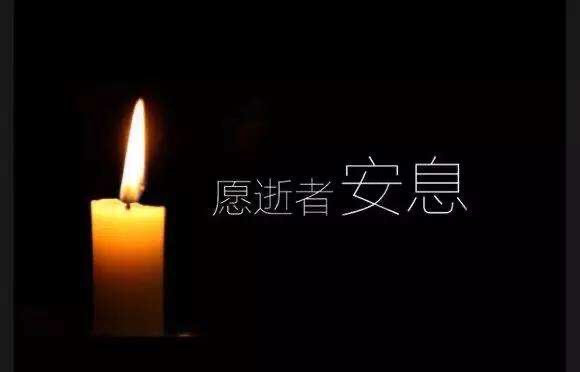 花飨逝者、春暖斯人是什么意思？