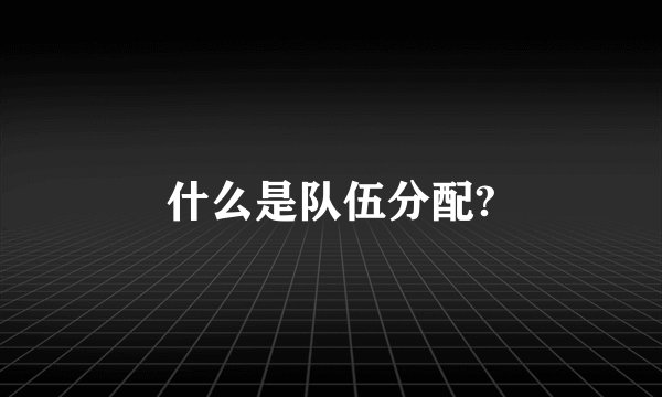 什么是队伍分配?