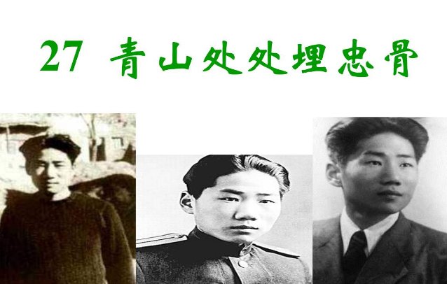 巜青山处处埋忠骨》作者晓年的资料