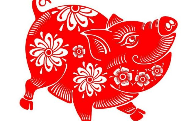 小康人家打一动物生肖