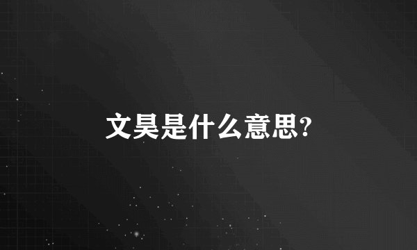 文昊是什么意思?