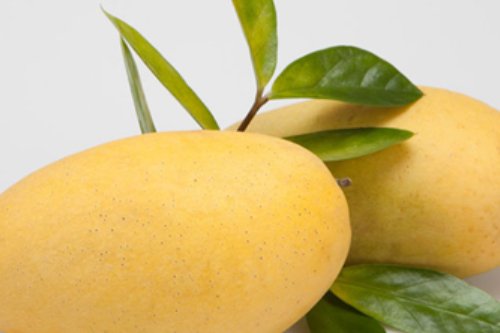 芒果是什么季节的水果