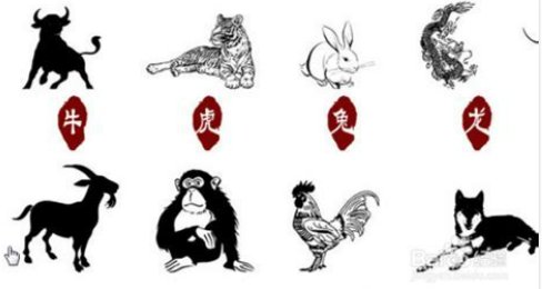 野性难驯打一正确动物生肖