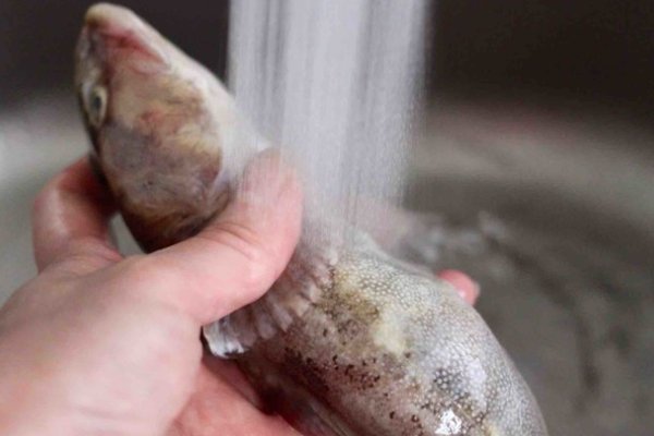 鲶鱼的做法大全