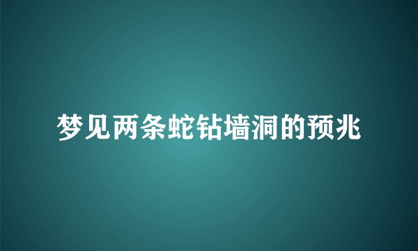 梦见两条蛇钻墙洞的预兆