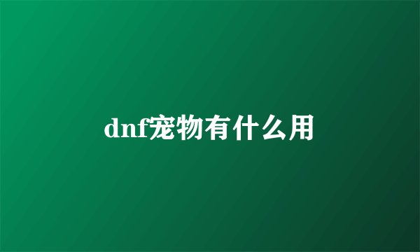 dnf宠物有什么用