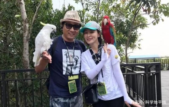 最淳朴的明星夫妻，大宋宫词中王钦若与秦王妃的美好爱情，是不是让人羡慕？