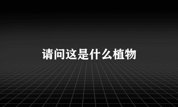 请问这是什么植物