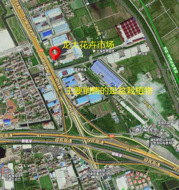 上海最大的苗木花卉市场在哪?比较专业的大型的市场？