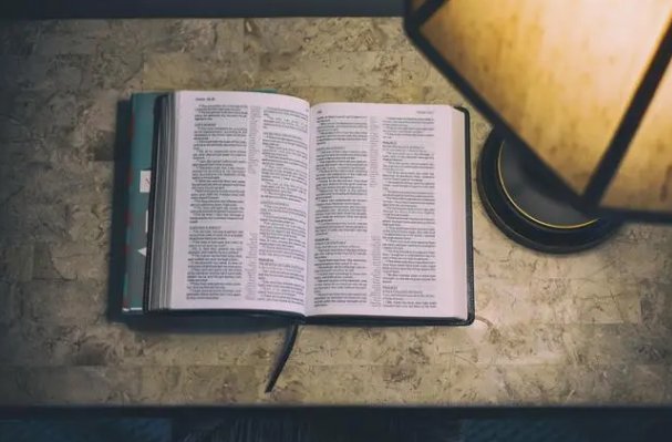 小红书千帆是什么