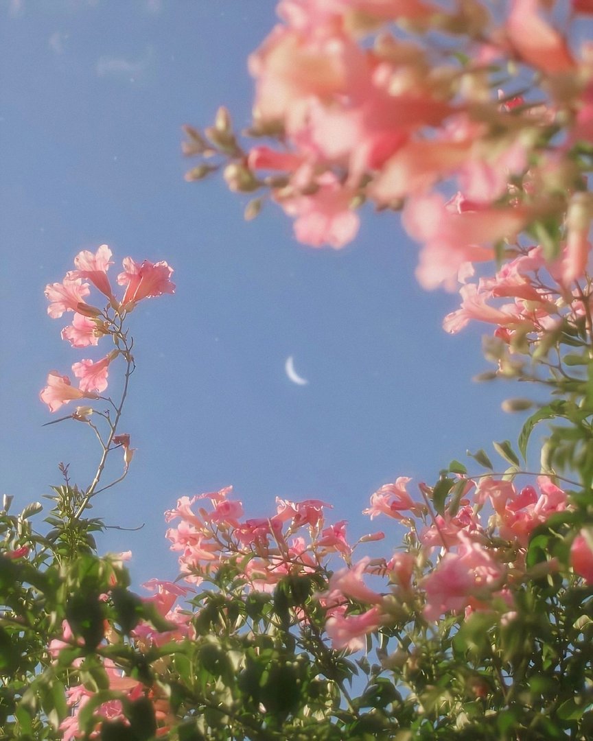 双人超仙闺蜜网名