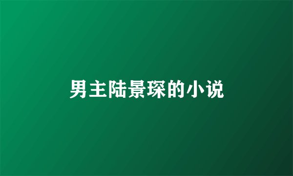 男主陆景琛的小说