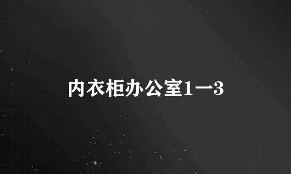 内衣柜办公室1一3