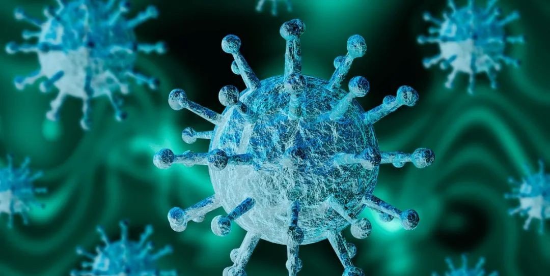 新冠毒株是什么意思