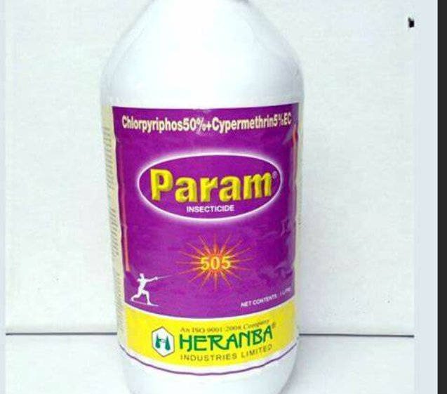 param是什么意思