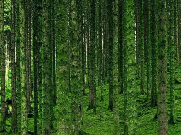 生活中还有什么也是美好的礼物