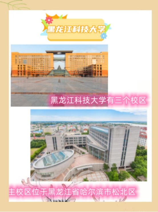 黑龙江科技大学有几个校区