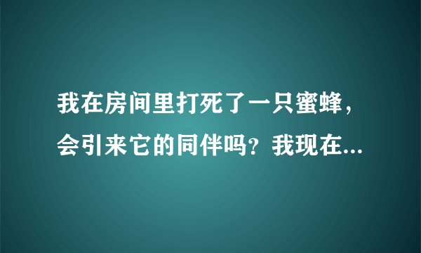 我在房间里打死了一只蜜蜂，会引来它的同伴吗？我现在怕的睡不着 大早上的