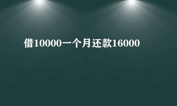 借10000一个月还款16000