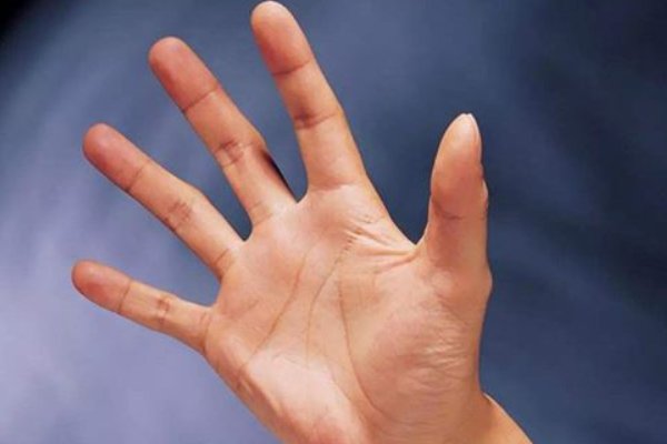 只手遮天形容什么