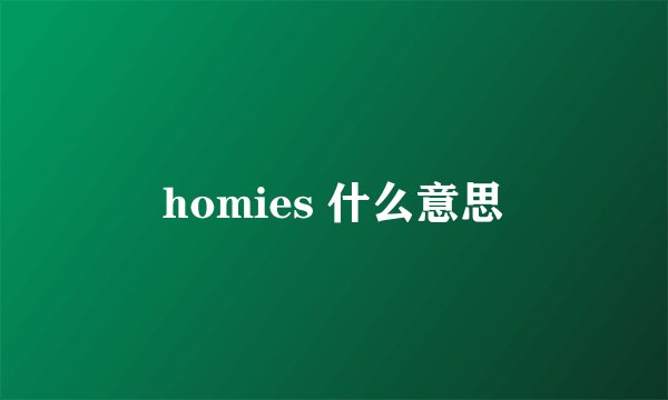 homies 什么意思