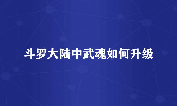 斗罗大陆中武魂如何升级