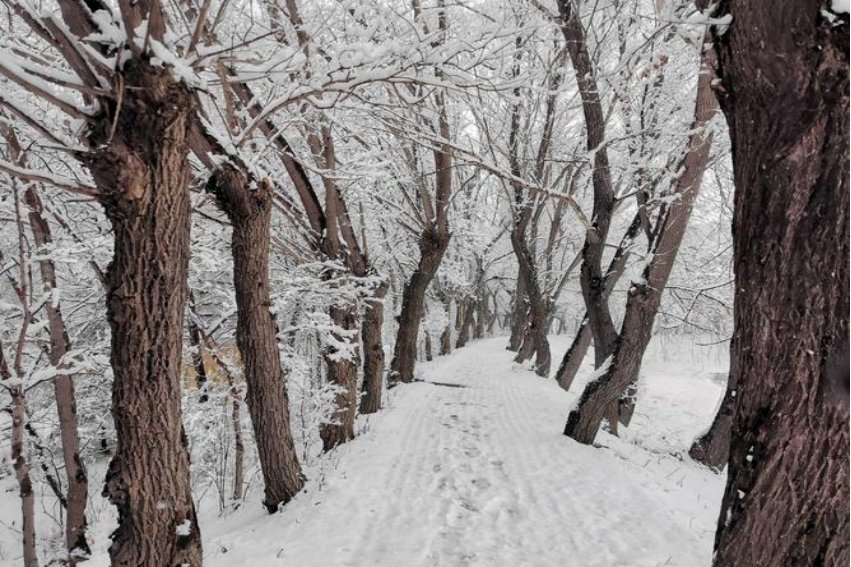 描写雪景的段落唯美