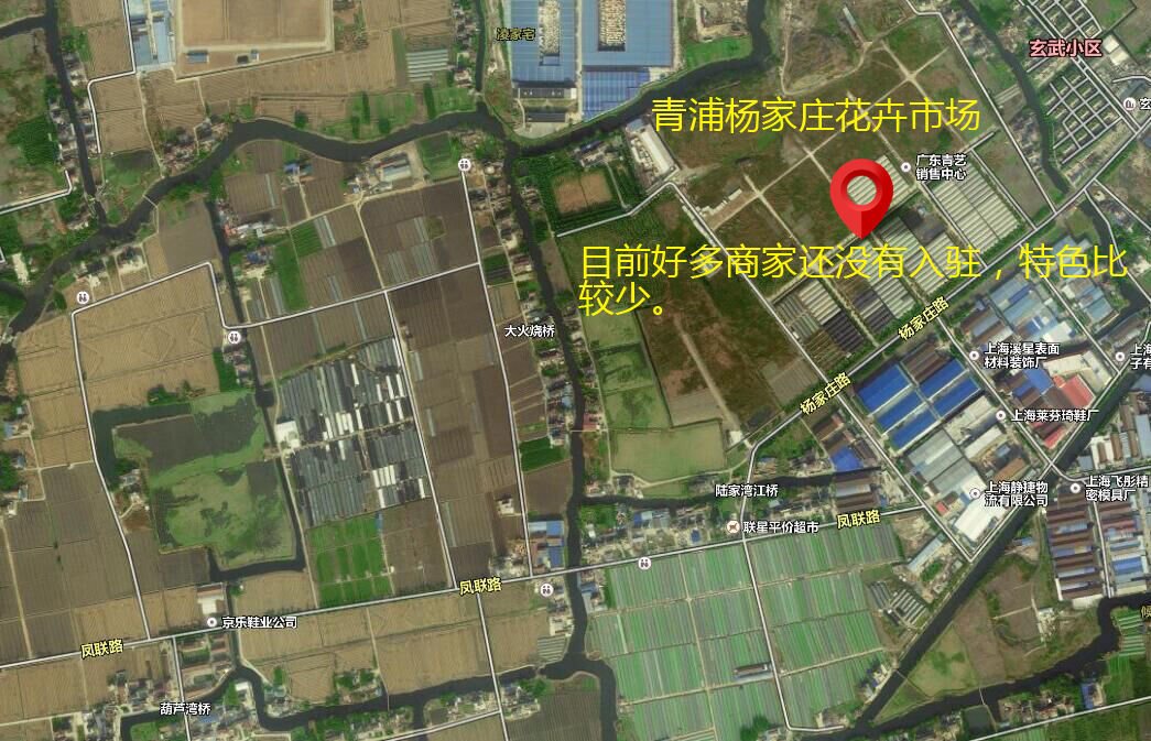 上海最大的苗木花卉市场在哪?比较专业的大型的市场？