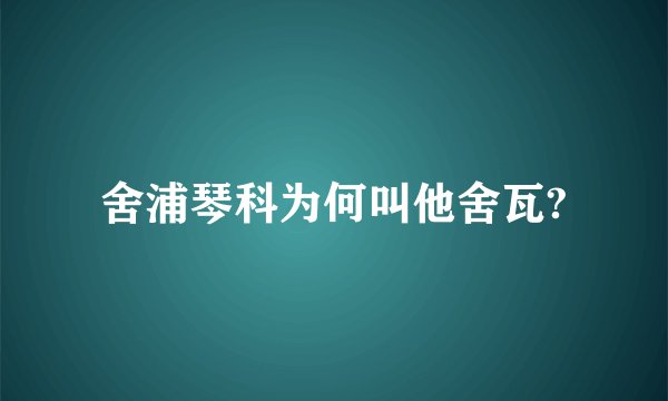 舍浦琴科为何叫他舍瓦?