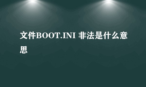 文件BOOT.INI 非法是什么意思